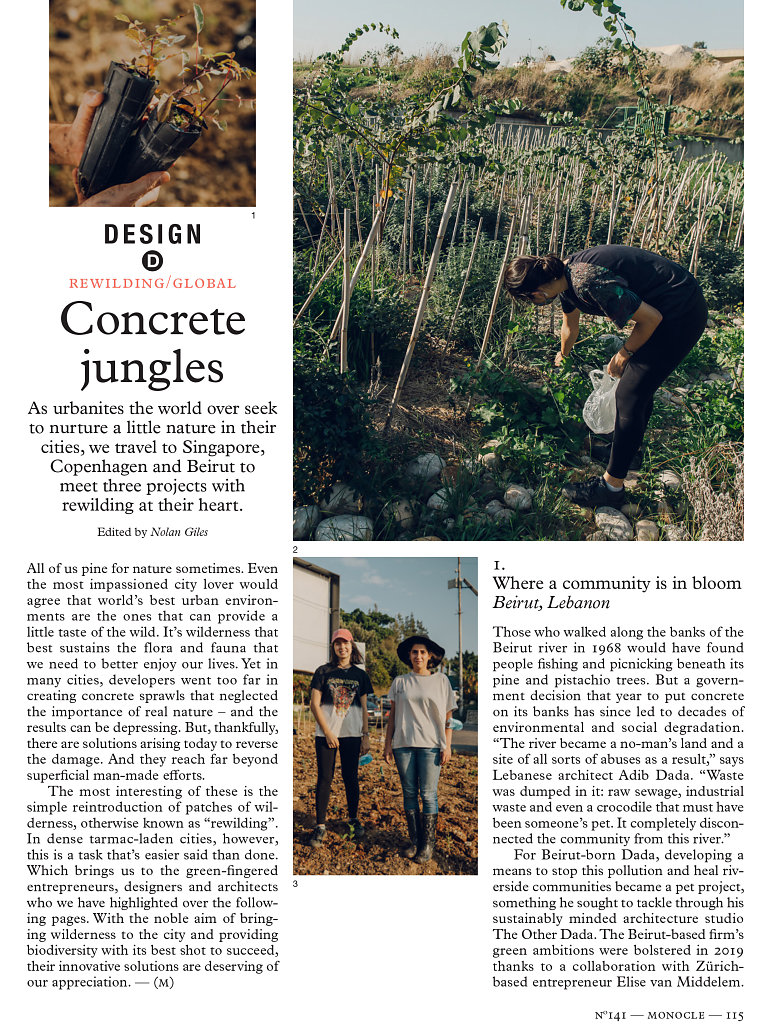 Concrete Jungles - Rewinding Initiative in Lebanon